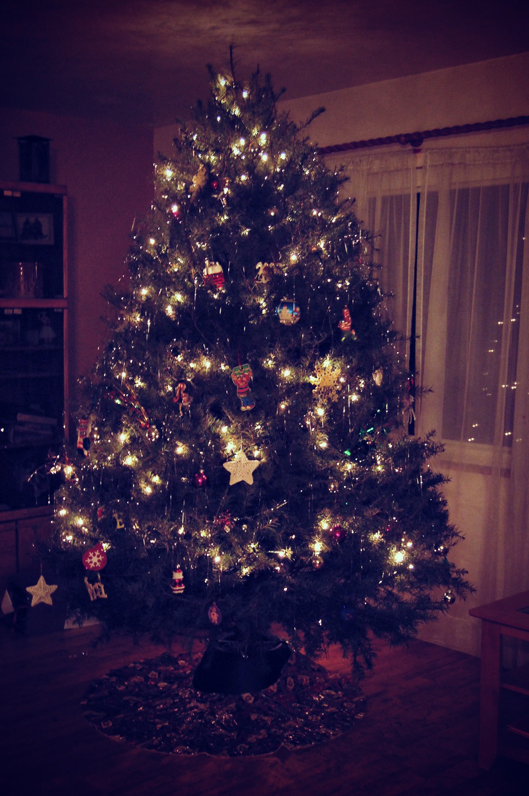 Punk Rock Parents: Our First Live Christmas Tree