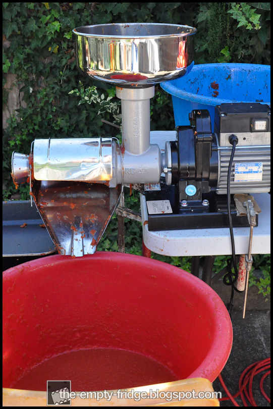 The Empty Fridge. Tomato Sauce Day Italian Backyard Style.
