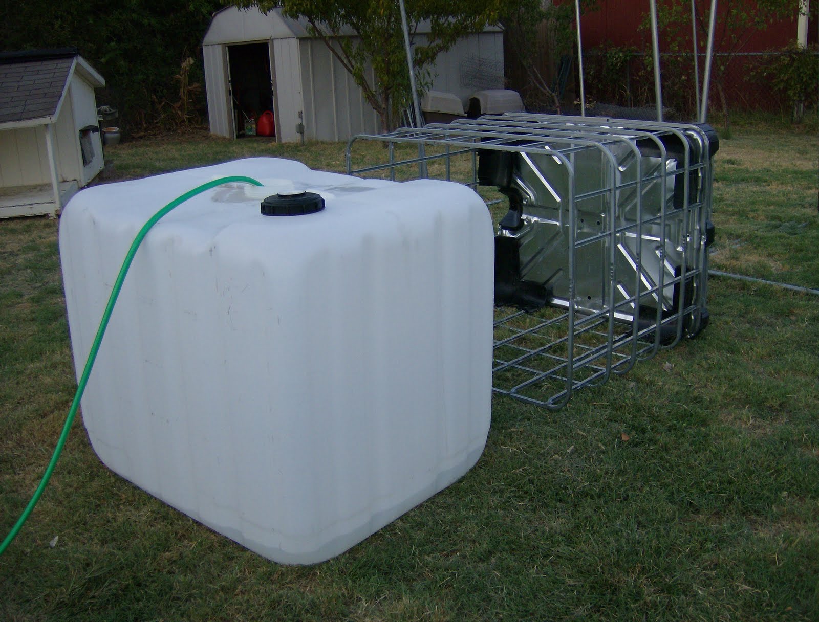 ibc-tote-plants.jpg