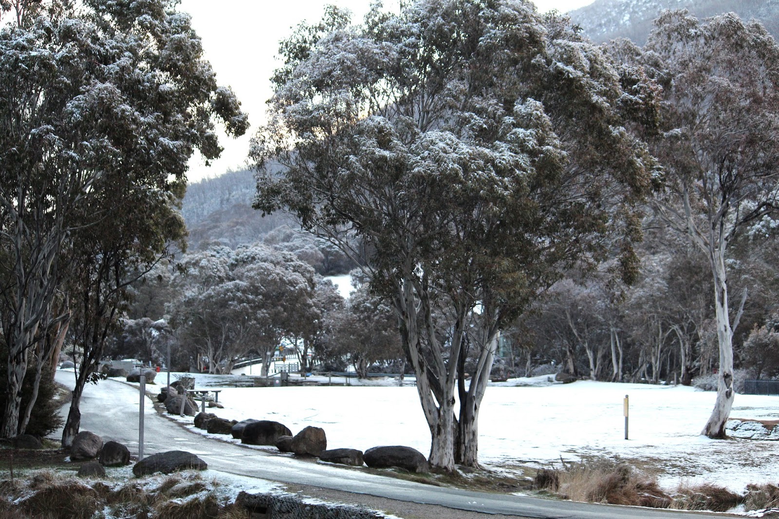Thredbo I love It Desire Empire