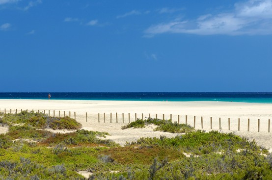 LA FOTO DEL DIA Beach in Fuerteventura 1