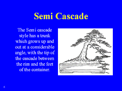 Semi Cascade