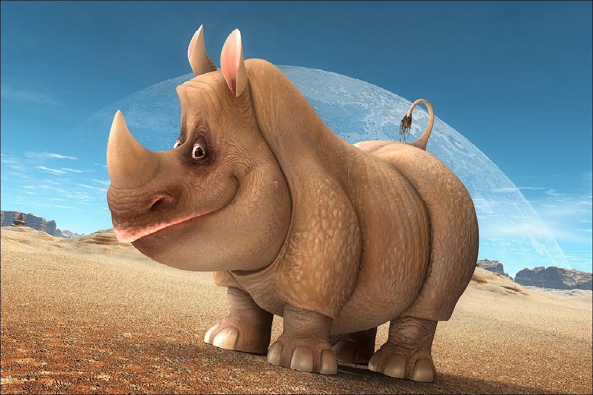 cool rhino pictures cool rhino pictures