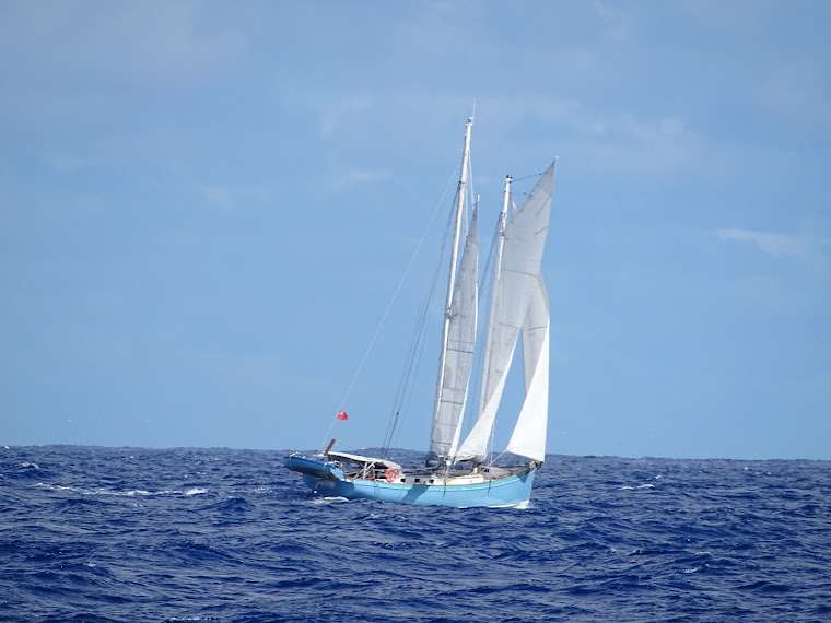 Glaz sailing  indian ocean, after rodrigue island , july 2018 , in la reunion island now