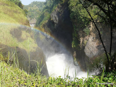 Reisen Afrika Uganda Murchison Falls National Park