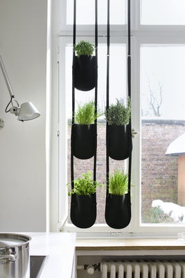 Imágenes de Jardines Colgantes : Jardín y Terrazas