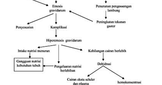 Askep Hiperemesis gravidarum