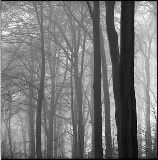 Winterbilder aus Wuppertal