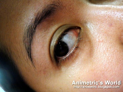 Animetric's eyebrows