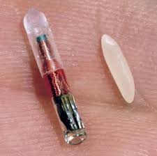 Image of microchip size in comparison to grain of rice