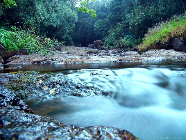 A Young River