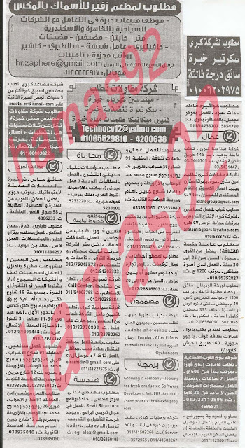 وظائف خالية فى جريدة الوسيط الاسكندرية الاحد 16-06-2013 %D9%88+%D8%B3+%D8%B3+8