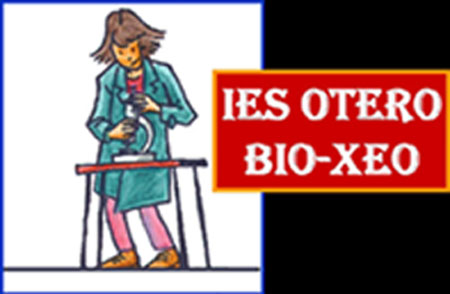 IES OTERO BIOXEO