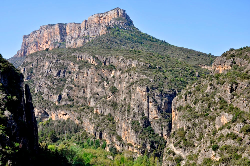 La noche del loro 2 MONTROIG