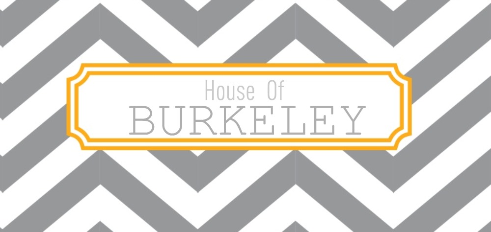House of Burkeley