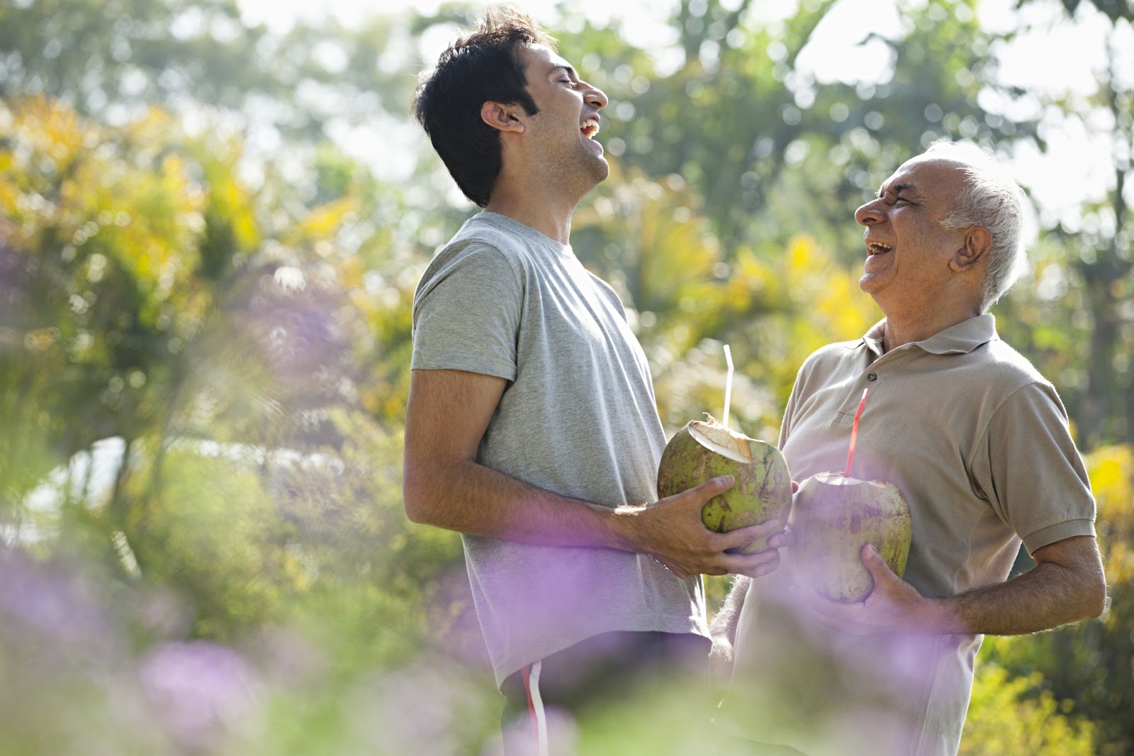 Essay On Elderly People