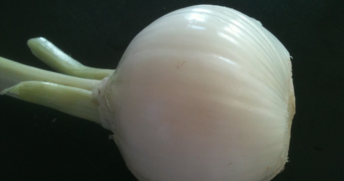 History Of Onions And Culinary Uses Cooking With Chef Alba