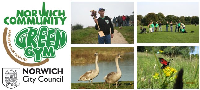 Norwich Community Green Gym