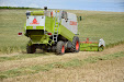 Forage harvester. Claas Lexion 420