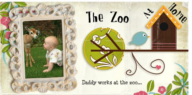 The Zoo At Home