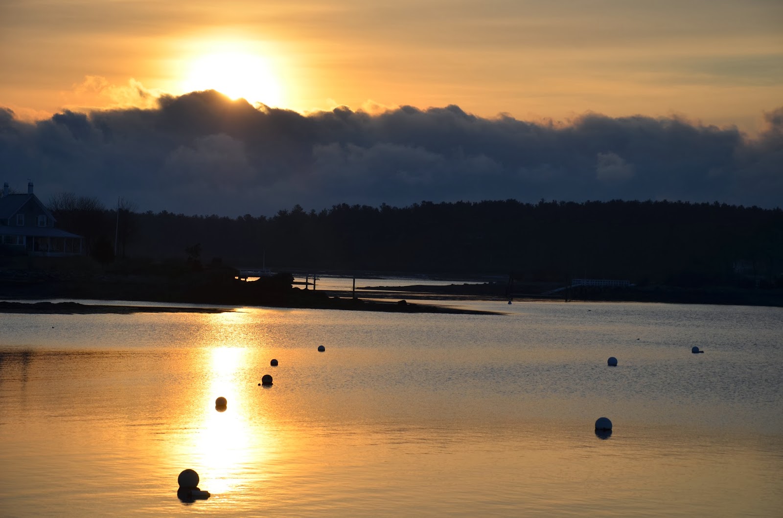 Palm Tree Gypsy The Enchanted Land of Maine
