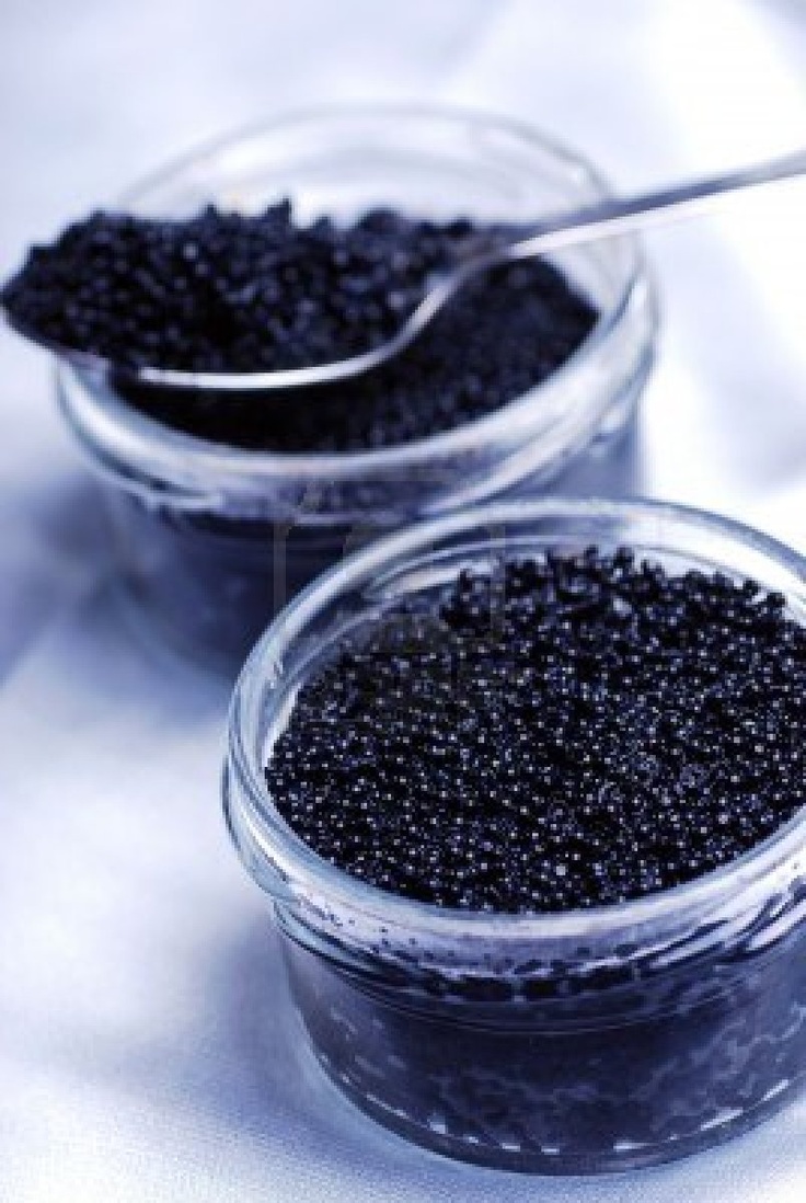 Caviar Cravings | Is Caviar the ingredient your hair has been waiting for?  — 