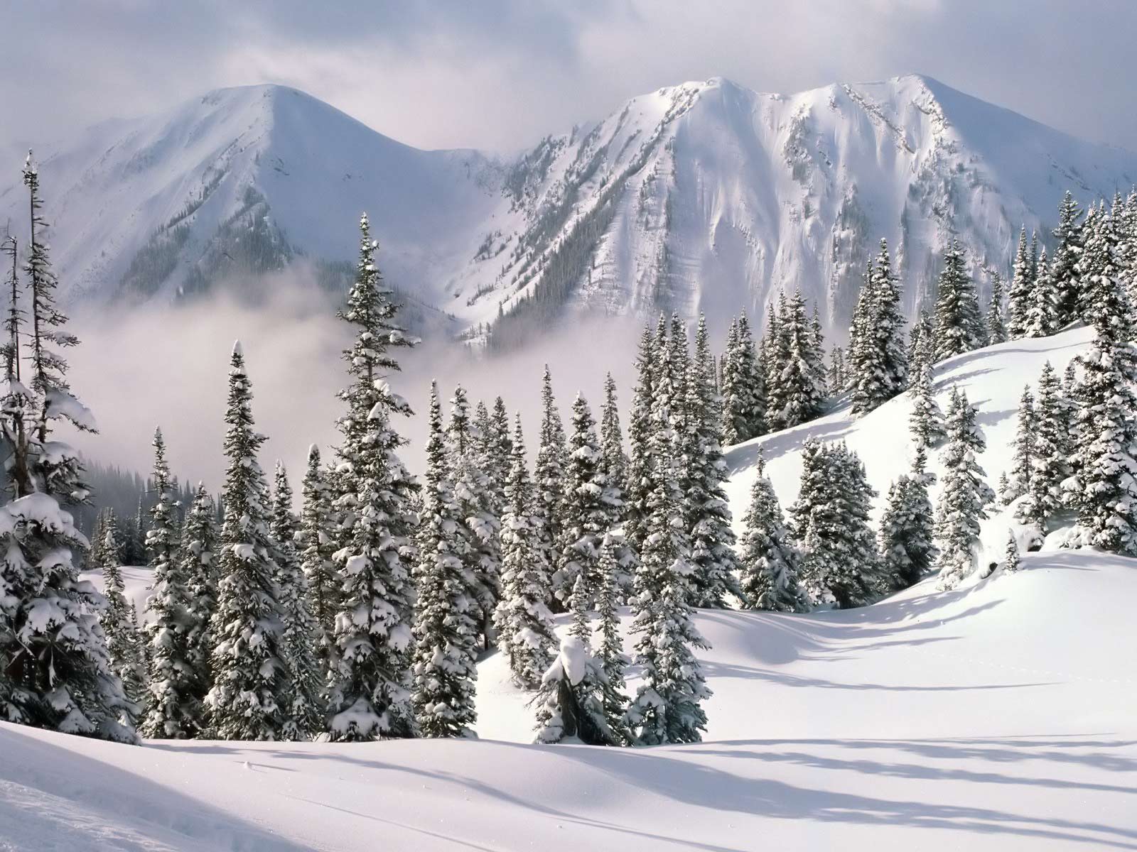 Fotos De Nieve