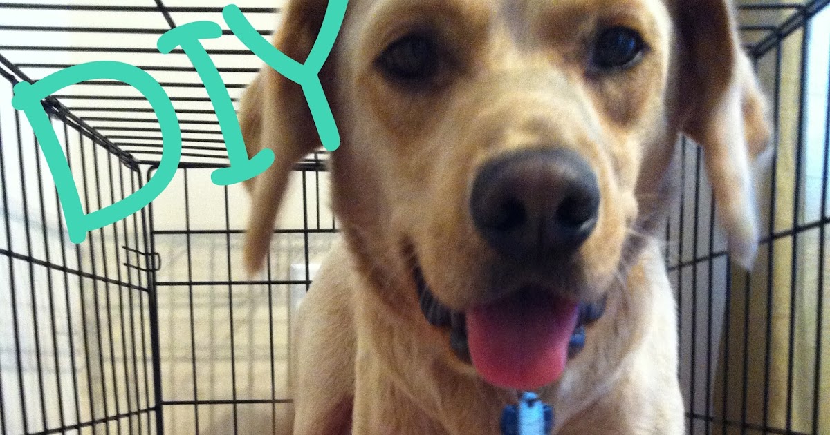 Beagles On Board DIY Dog Bed for the Kennel!