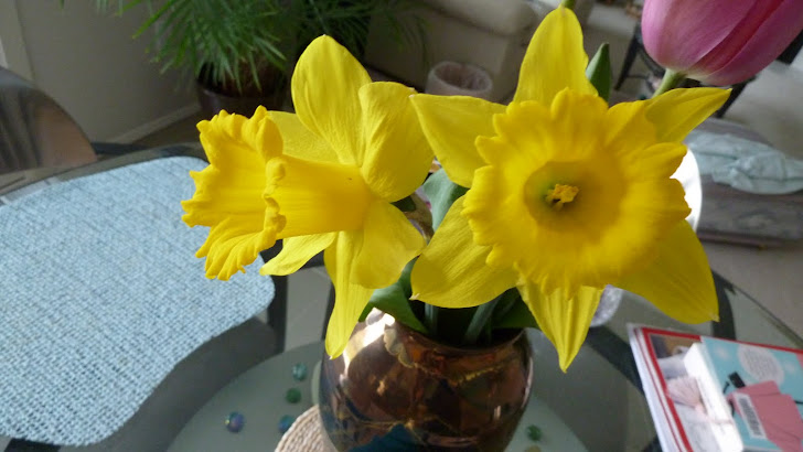 Yellow daffodils