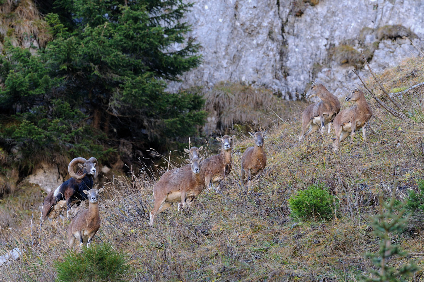 une rencontre pas ordinaire