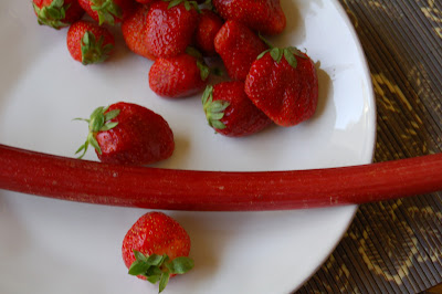Strawberry Rhubarb Crumble | www.kettlercuisine.com