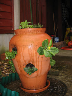 strawberry planter