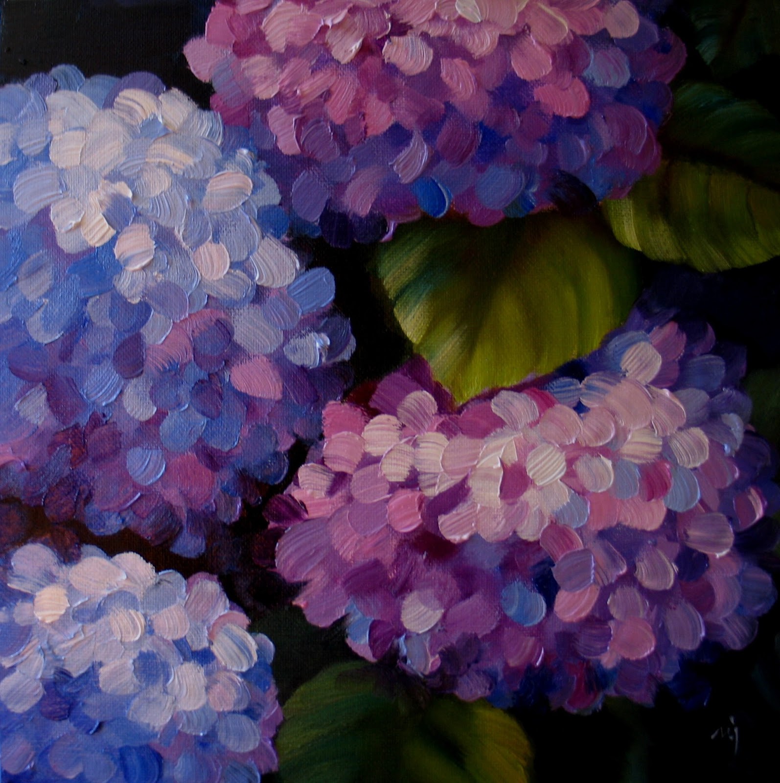 Firestick Hydrangea Enter The Incrediball Hydrangea An Annabelle