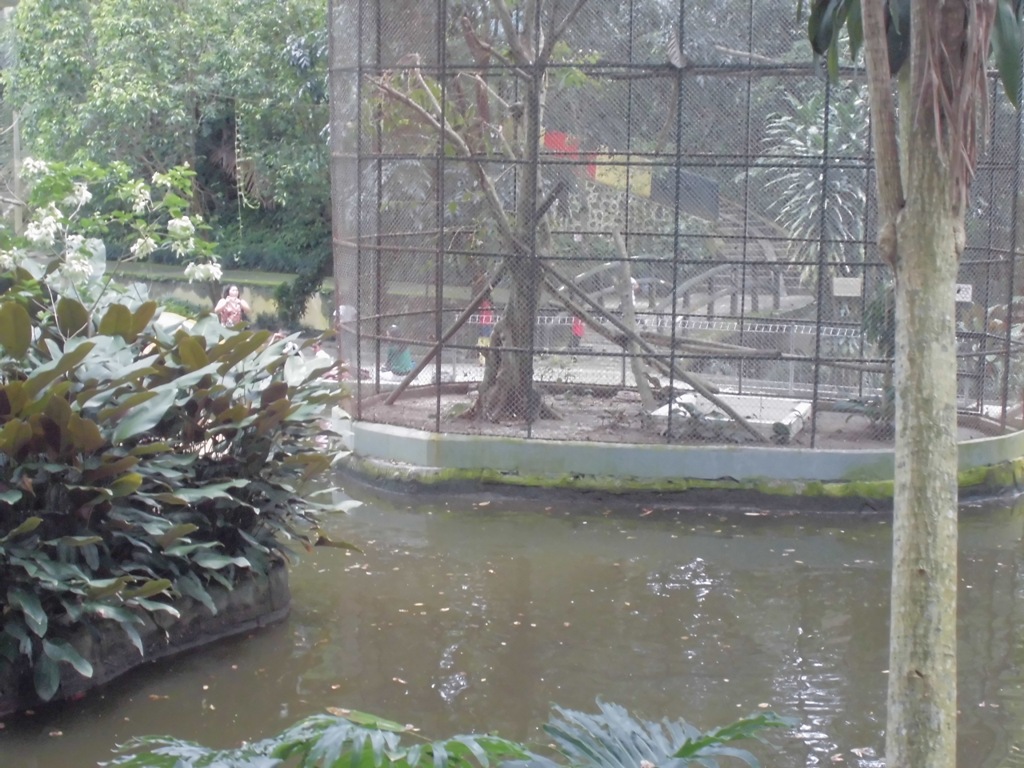 kebun binatang siantar