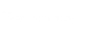 Torcida FlaManolos