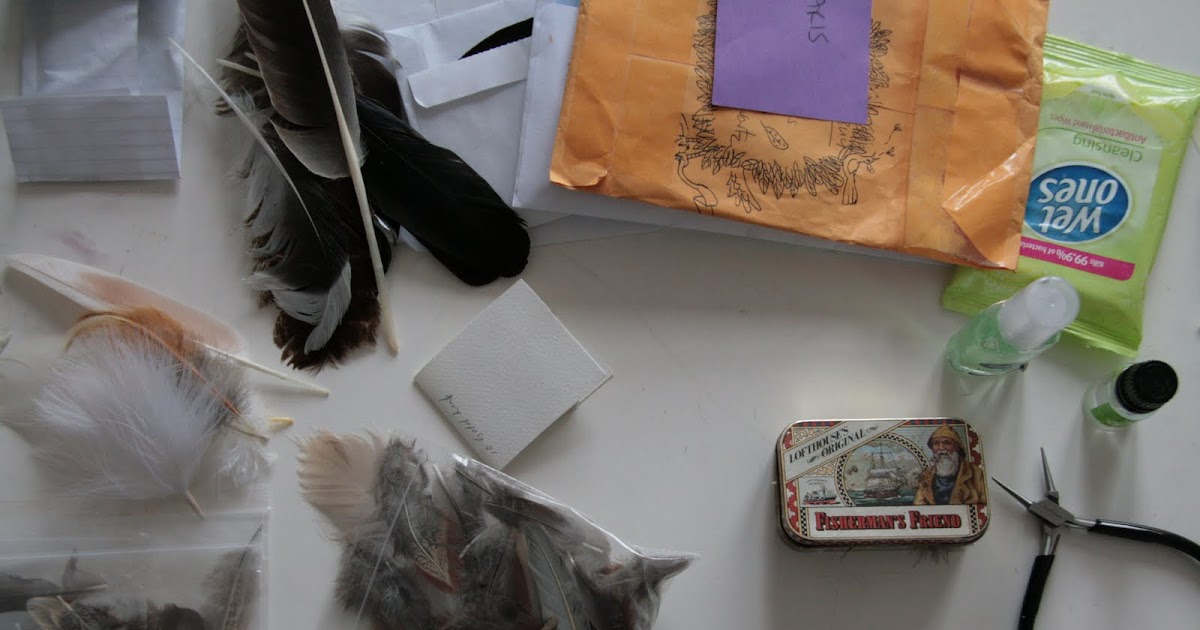 Dianne Tanner FYI Feather Cleaning