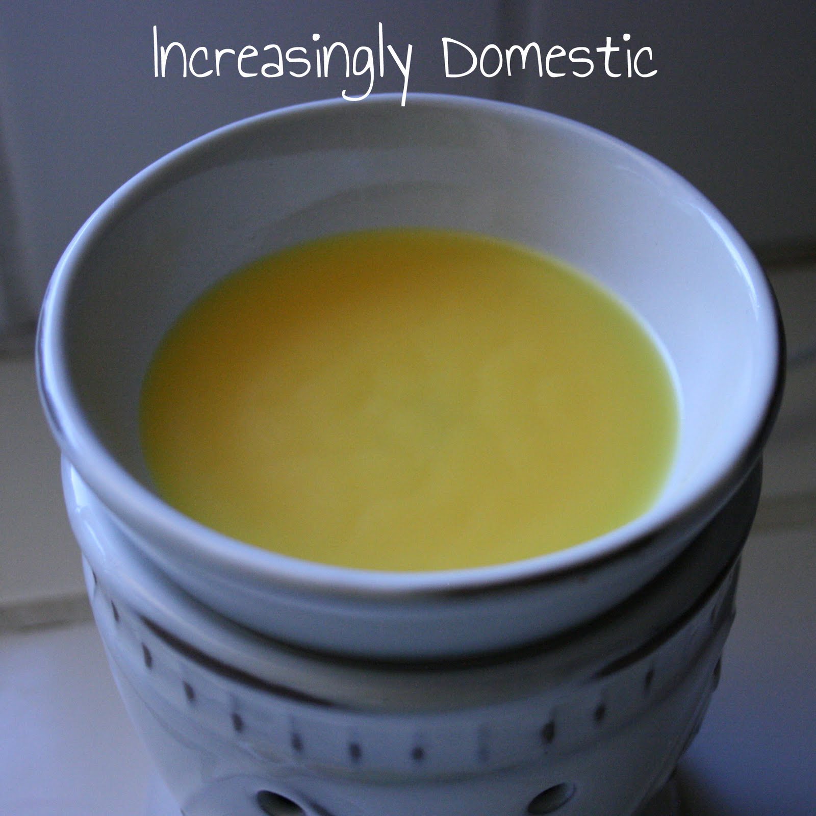 Increasingly Domestic How to remove wax from Scentsy Warmers