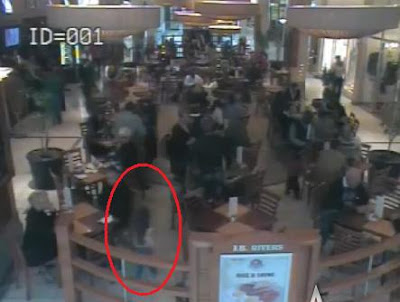 rottweiler attacks child rottweiler attacks child in mall breeds picture rottweiler attacks child rottweiler attacks child in mall breeds picture