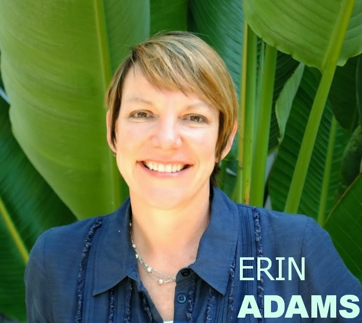 MoD Design Guru Fresh Ideas + Cleverly Modern Design DESIGNER