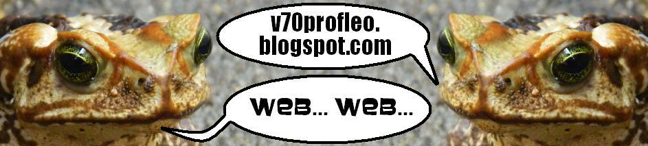 v70profleo.blogspot.com