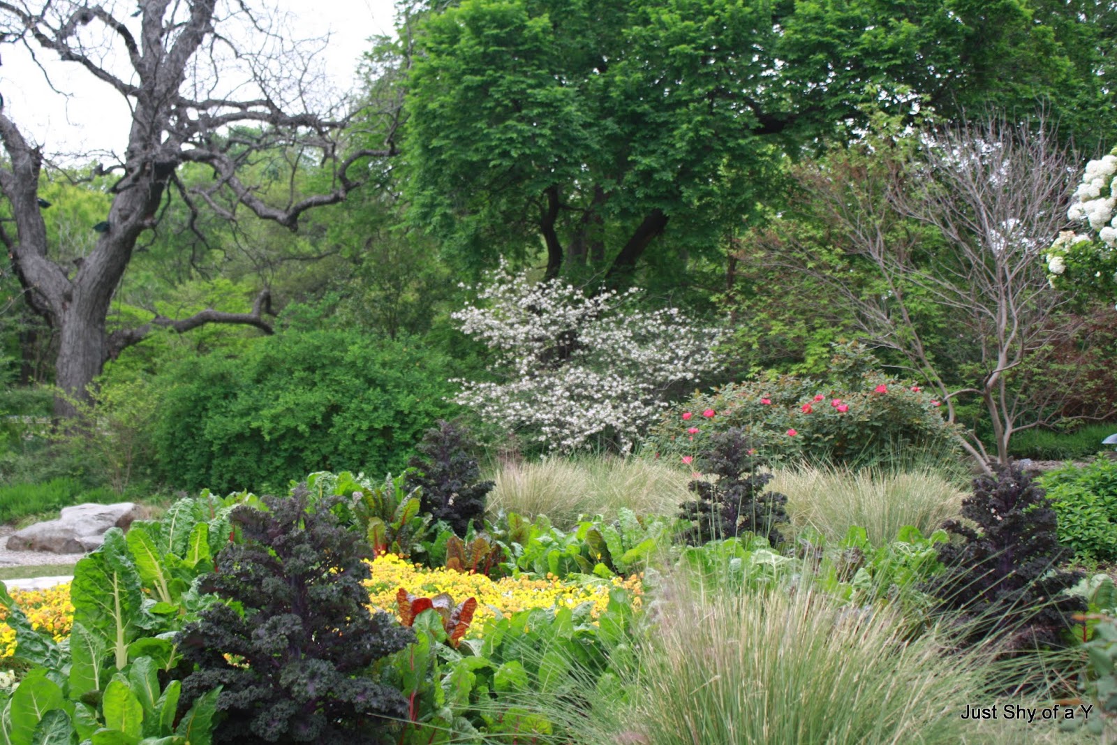 Just Shy of a Y Fort Worth Butterfly Garden