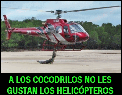 cocodrilo helicoptero