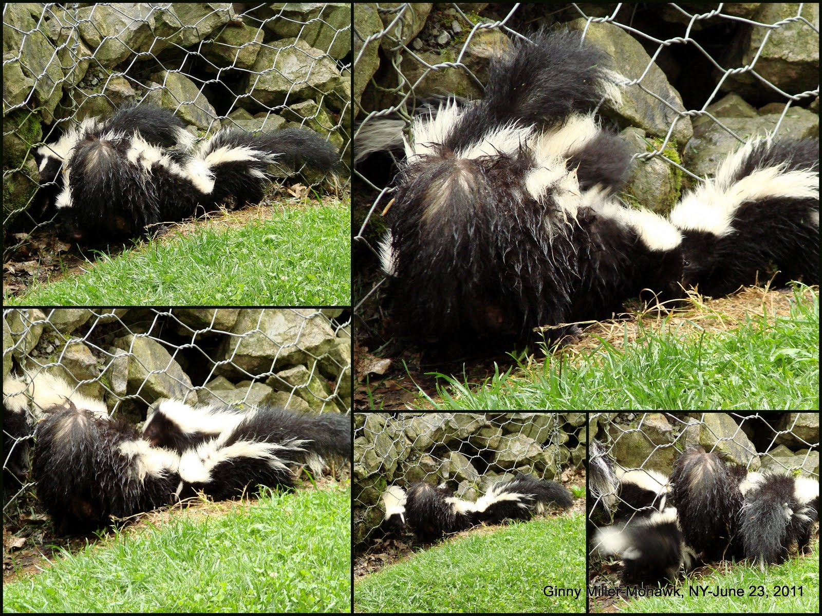 Photography By Ginny June 23rd