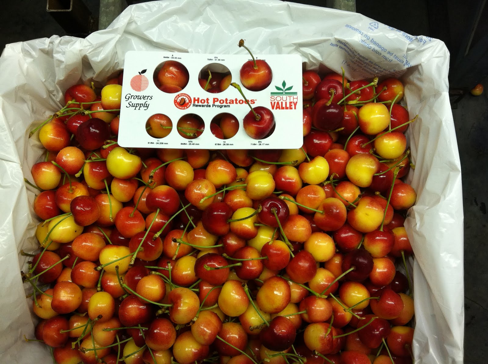 The PRODUCE BLOG by Rick Chong how to buy fresh fruit and vegetables...