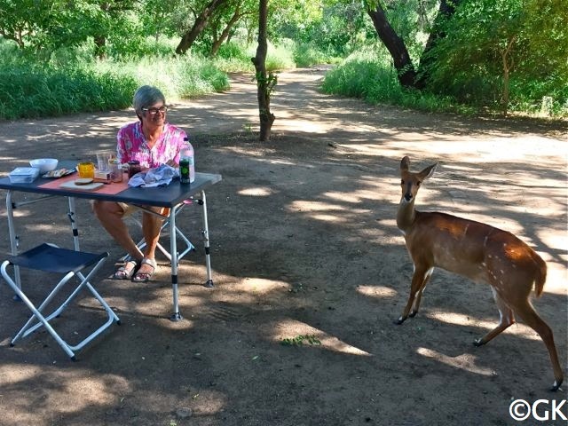 Besuch am Frühstückstisch