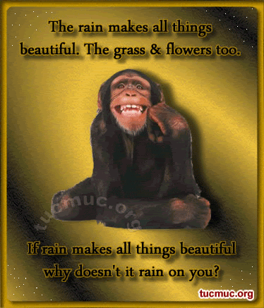 Raindrops What A Guy Its So Wonderful Raindrops What A Guy Its So Wonderful