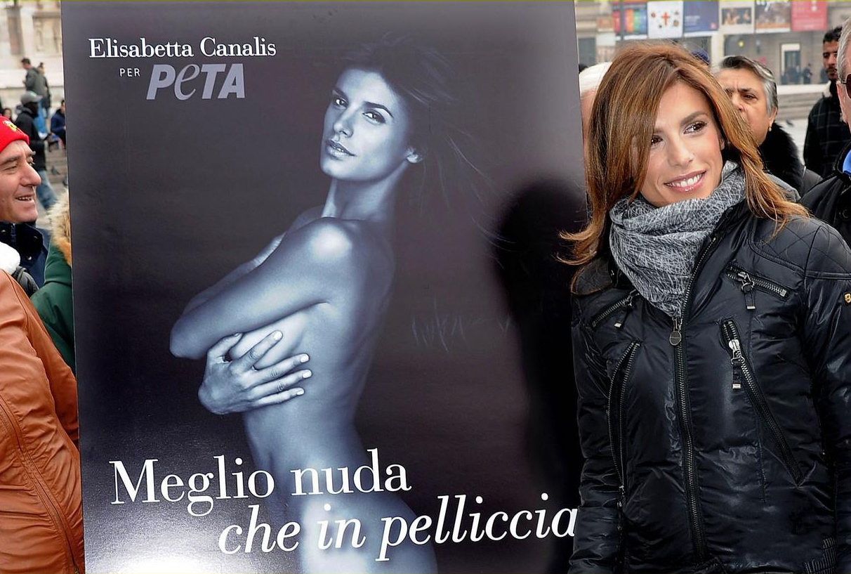 http://1.bp.blogspot.com/-a0YMxcMVyo4/TtXCrSORQDI/AAAAAAAALeE/YFrC5XJpX_Q/s1600/elisabetta-canalis2.jpg