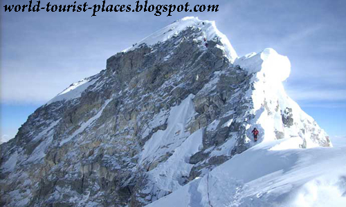 Mount Everest Spider