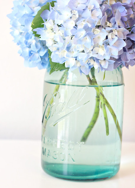 how to keep fresh cut hydrangeas from wilting