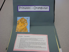 Co-Created Pop-Up Book